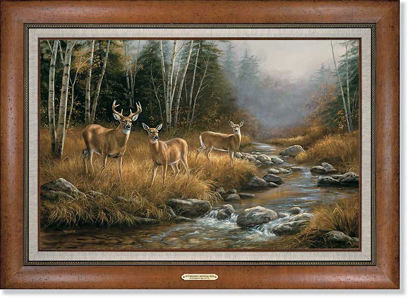 800x583 Whitetail Deer Painting Khmerpainting - Whitetail Painting