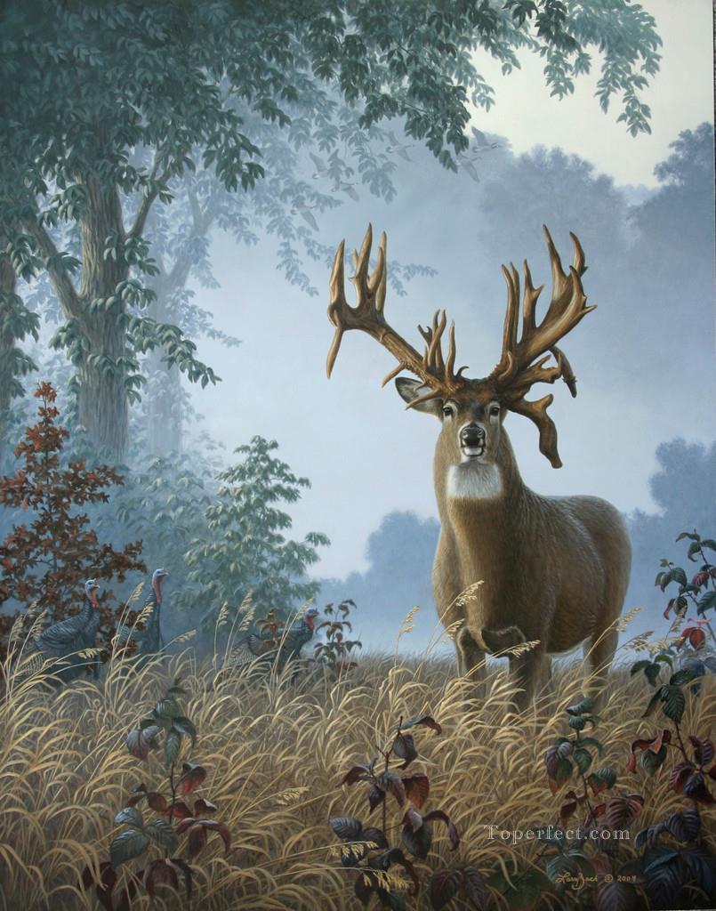 805x1024 Whitetail On Morning Painting In Oil For Sale - Whitetail Painting