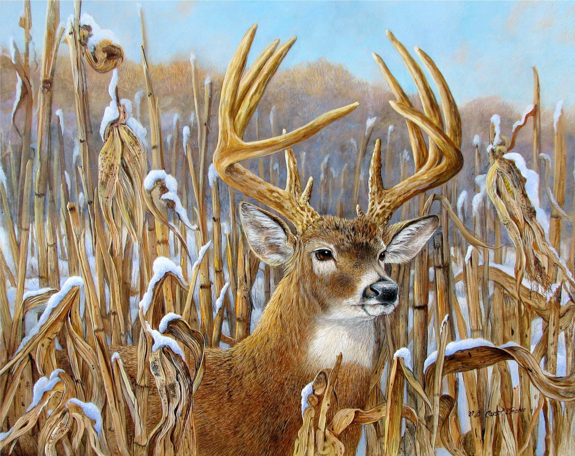 2383x1889 Buck Clipart Whitetail Deer - Whitetail Painting