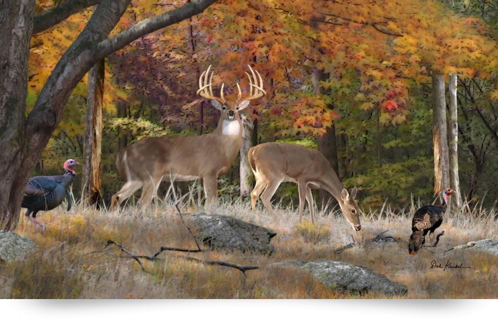 1000x644 Deer Art - Whitetail Painting