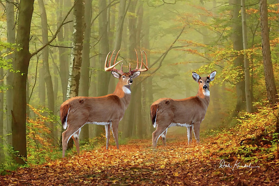 900x600 Deer Art Featuring The Whitetail Deer Painting - Whitetail Painting