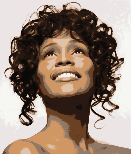 427x500 Whitney Houston Pop Art Paint By Number Kit - Whitney Houston Painting