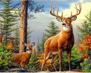 300x242 Diamond Painting Kit Like Cross Stitch 40x30cm Forest Deer Wild - Wild Animals Painting