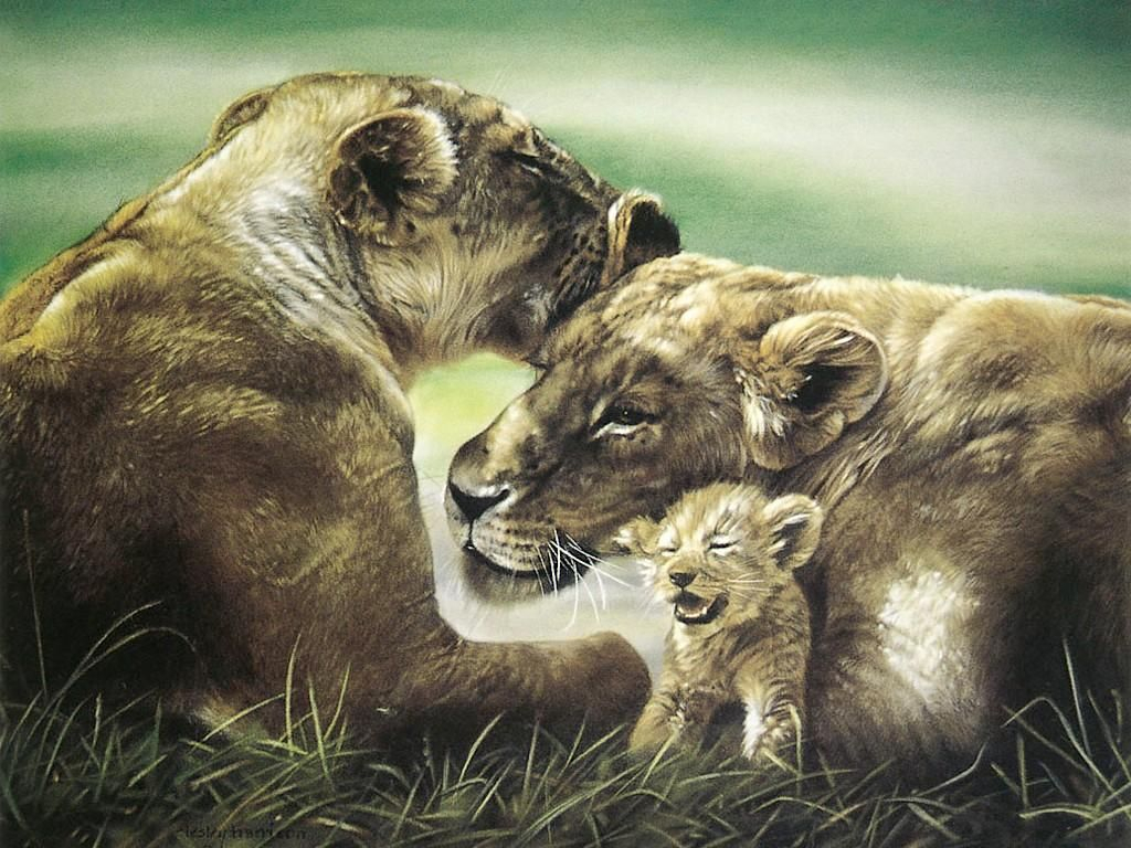 1024x768 Oil Paintings Of Animals Wild Animal Paintings Art, Animal Oil - Wild Animals Painting