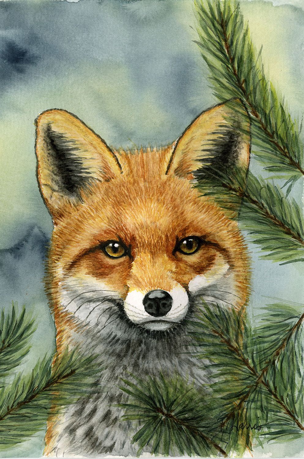 993x1500 Red Fox, 5x7 Print From Original Watercolor Painting, Animals, Art - Wild Animals Painting