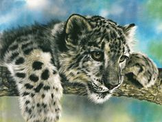 236x177 The 90 Best Roaring Art Images On Oil On Canvas, Oil - Wild Animals Painting