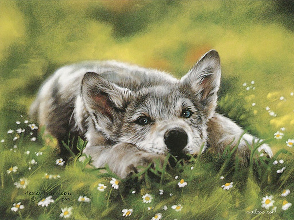 1024x768 Wild Animal Paintings Take 2 Creativeartworksblog - Wild Animals Painting