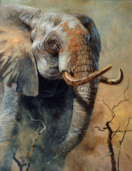 263x340 Wild Animals Of Impressionist Oil Paintings On Canvas(Id660570 - Wild Animals Painting