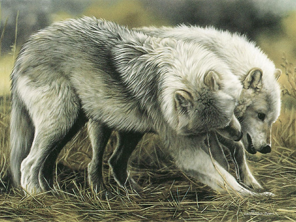 1024x768 Animal Paintings Take 8 Creativeartworksblog - Wild Animals Painting