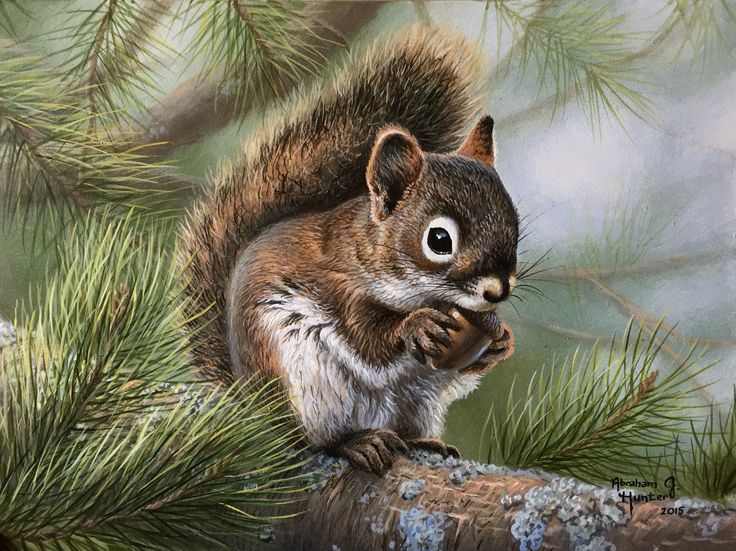 736x551 Best 6228 Artists Ideas On Wildlife Art, Animal - Wild Animals Painting