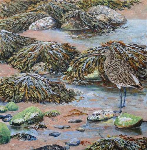 500x510 How To Paint Birds In The Wild - Wild Bird Painting