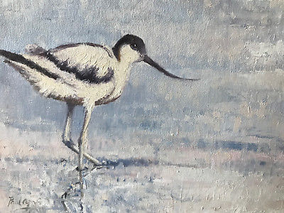 400x300 Beautiful Original Paul Apps Avocet Sea Shore Wild Bird Painting - Wild Bird Painting