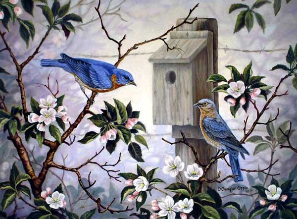 600x442 Wild Birds Art By Nature - Wild Bird Painting