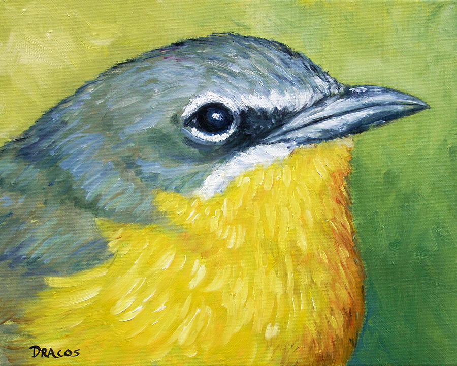 900x720 Yellow Breasted Chit Wild Bird Painting By Dottie Dracos - Wild Bird Painting