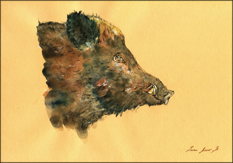 800x559 San Martin Arts Crafts Wild Boar Paintings. - Wild Boar Painting