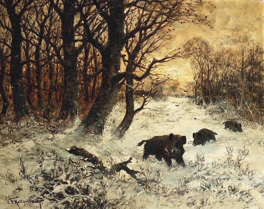 900x711 Wild Boar Foraging In The Snow At Dusk Painting By Motionage Designs - Wild Boar Painting