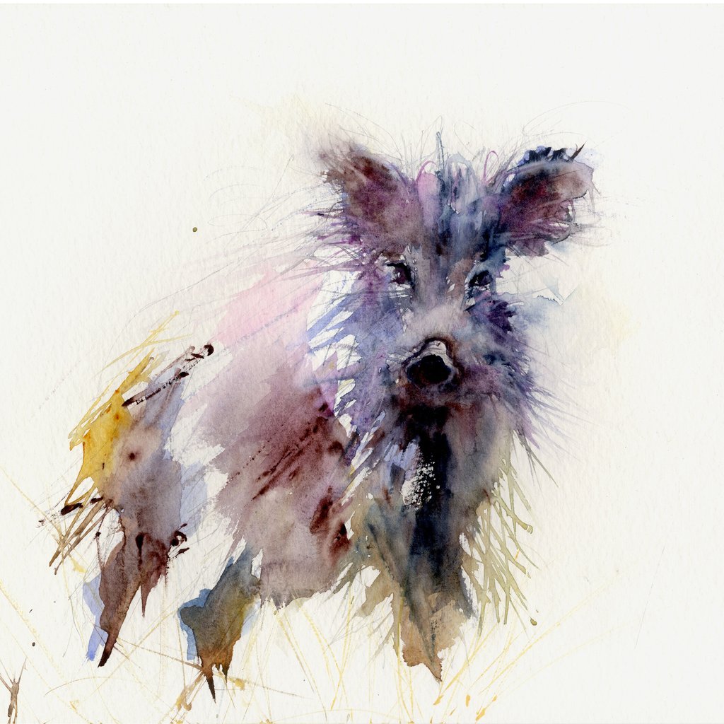1024x1024 Signed Limited Editon Print - Wild Boar Painting