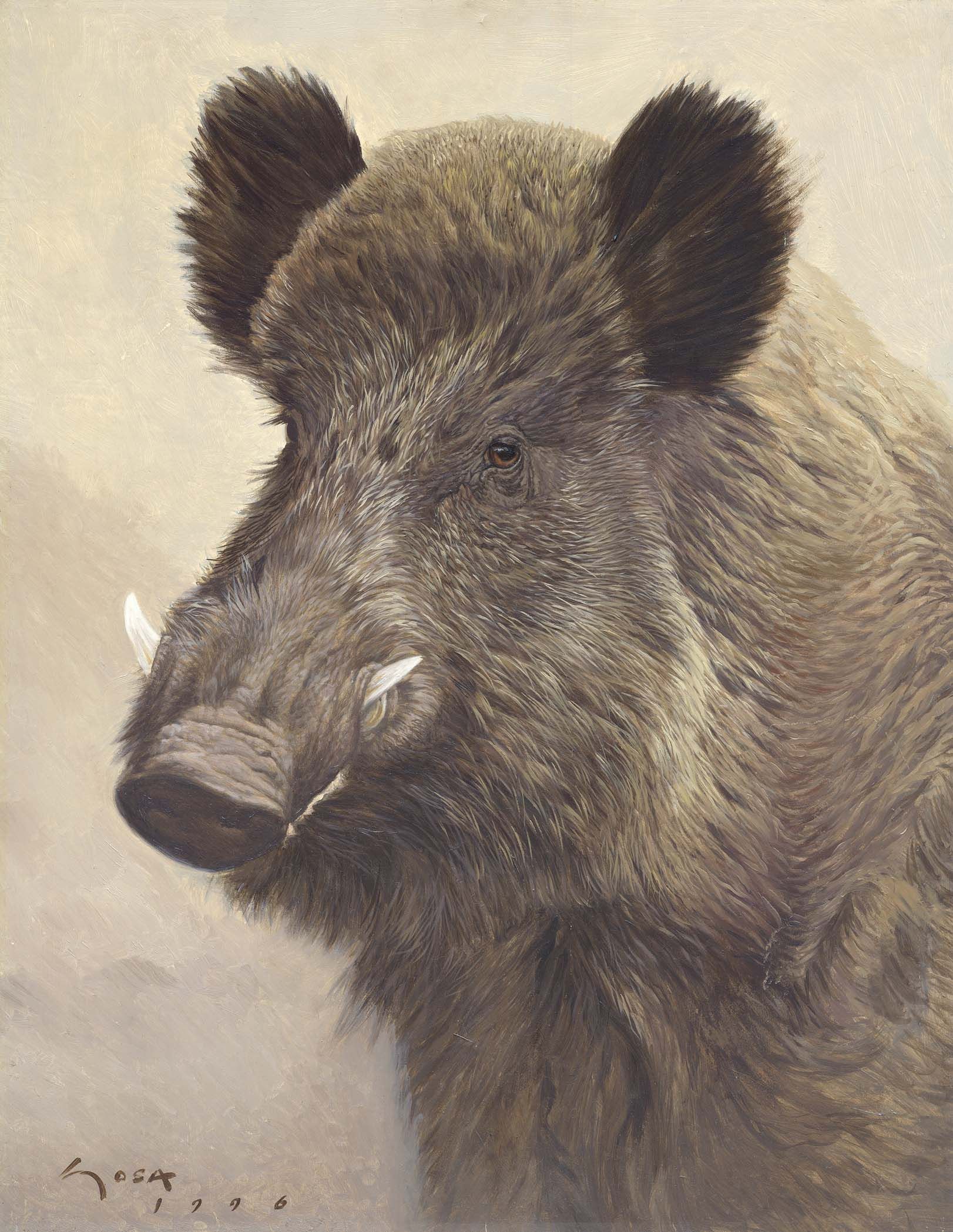 1622x2098 Boar Painting Malarstwo Wild Boar - Wild Boar Painting