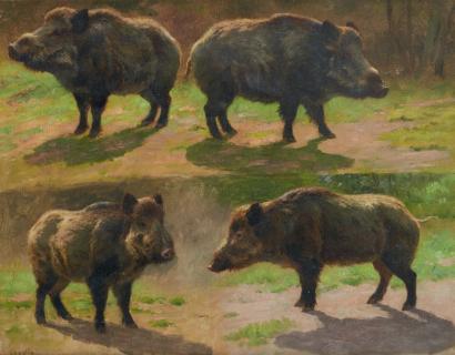 410x320 Gurney Journey Wild Boars - Wild Boar Painting