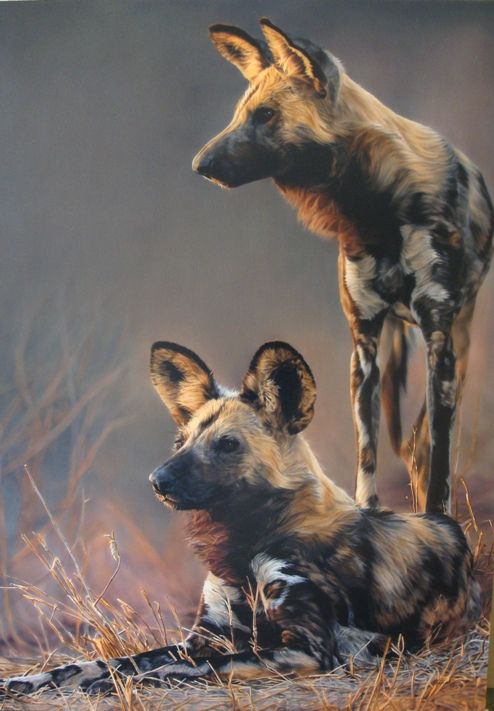 Wild Dog Painting