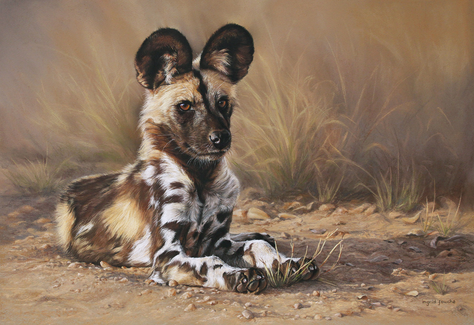 1600x1098 African Wild Dog - Wild Dog Painting