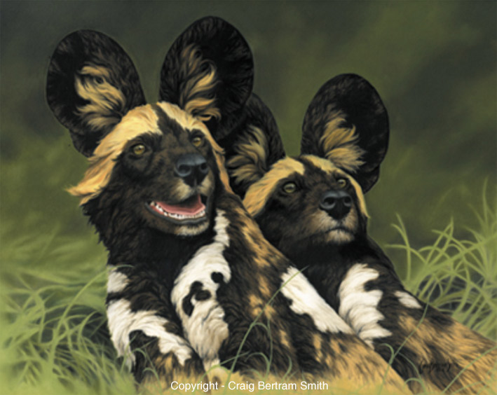 709x564 African Wild Dogs Painting - Wild Dog Painting