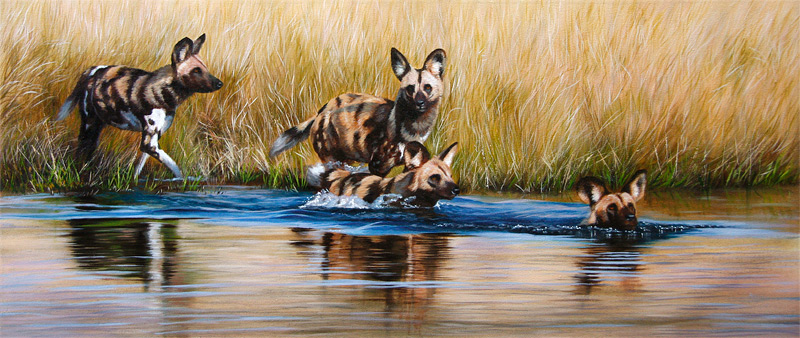 800x338 African Wild Dogs Paintings And Prints For Sale - Wild Dog Painting