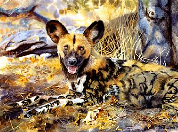 366x270 Painted Dog Of Africa - Wild Dog Painting