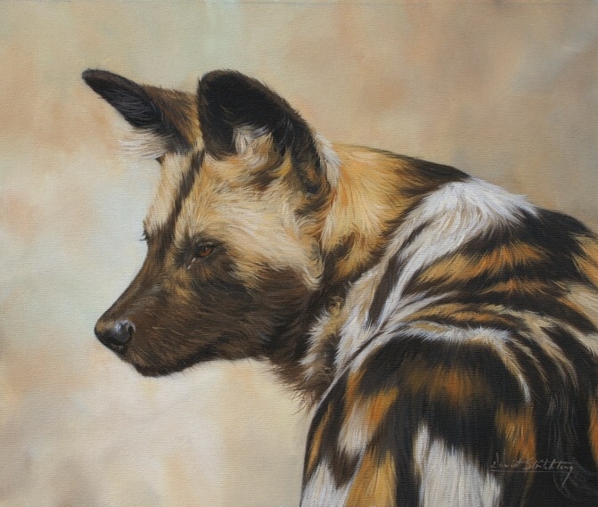 671x569 The Wildlife Art Of David Stribbling - Wild Dog Painting