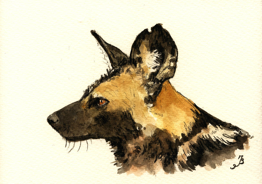 900x634 Wild Dog Painting By Juan Bosco - Wild Dog Painting