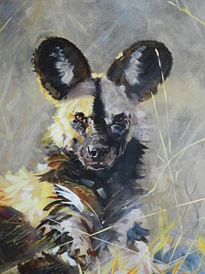 225x300 Wild Dog Portrait Painting By Robert Teeling - Wild Dog Painting