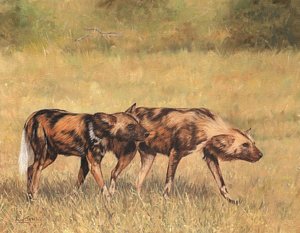 300x233 African Wild Dog Paintings Fine Art America - Wild Dog Painting