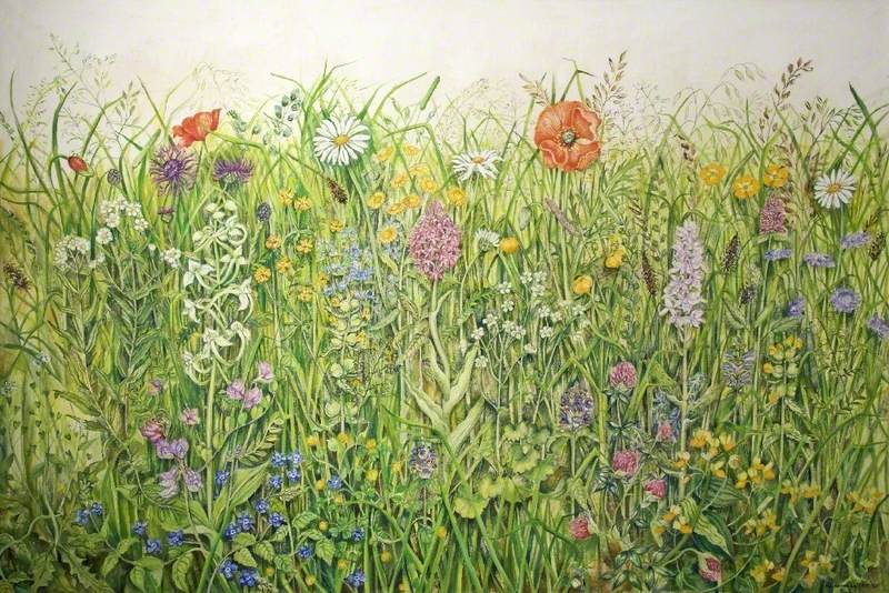 800x534 Wildflower Meadow Art Uk - Wild Flower Meadow Painting