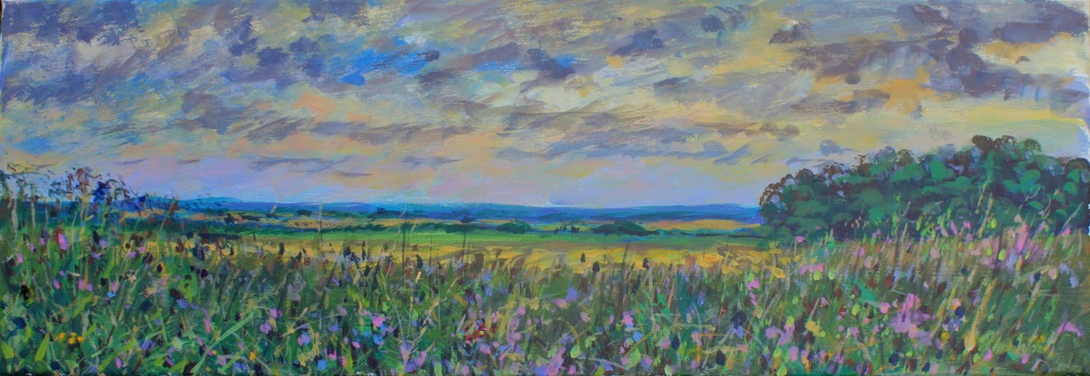 1557x537 Wildflower Meadow. A Two Hour Lesson With A Student, Using - Wild Flower Meadow Painting