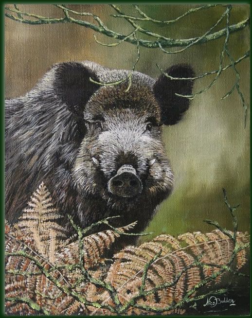 518x654 Paintings Boar - Wild Hog Painting