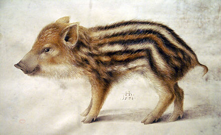 440x270 Wild Boar - Wild Hog Painting