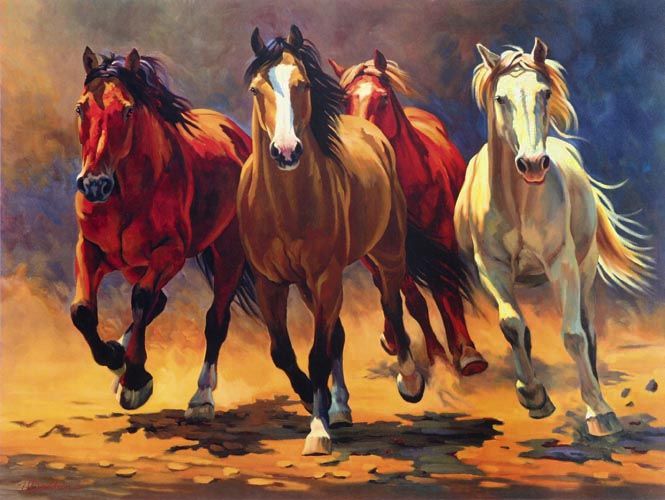665x500 264 Best Horse Paintings Images On Drawings Of Horses - Wild Horse Painting Canvas