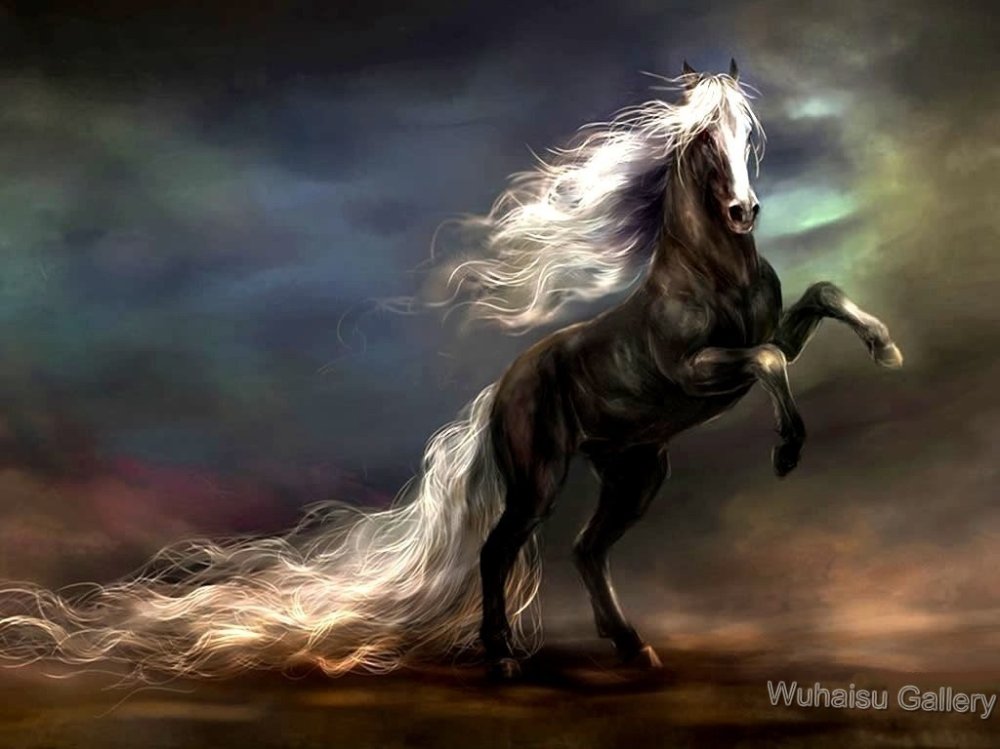 1000x749 Wild Horse Oil Painting On Canvas An Abstract Modern Art Wall - Wild Horse Painting Canvas