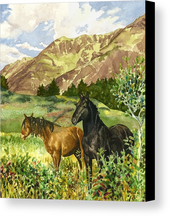 587x750 Wild Horses Canvas Print Canvas Art By Anne Gifford - Wild Horse Painting Canvas