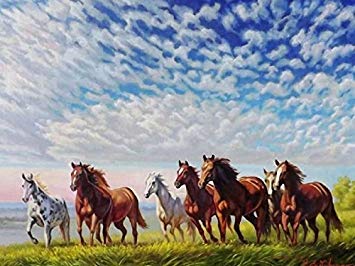 355x266 Rainbow Snail Wild Horses Painting - Wild Horses Painting