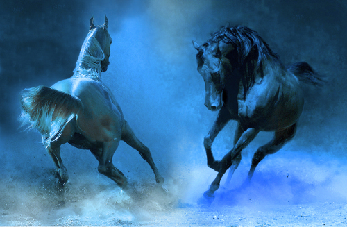500x327 Wild Horses Another Blue Painting Wip - Wild Horses Painting