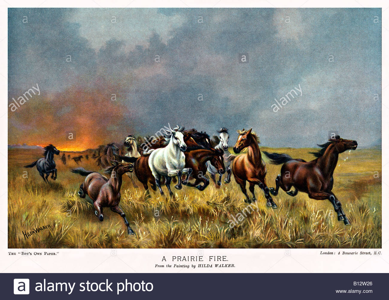 1300x1002 Prairie Fire Victorian Painting Of Wild Horses Runningway - Wild Horses Running Painting