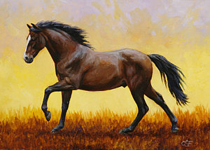 300x214 Running Wild Horses Paintings Fine Art America - Wild Horses Running Painting