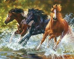 300x239 Wild Horses Running Diy Paint By Numbers Kit Pasadia Arts Amp Crafts - Wild Horses Running Painting