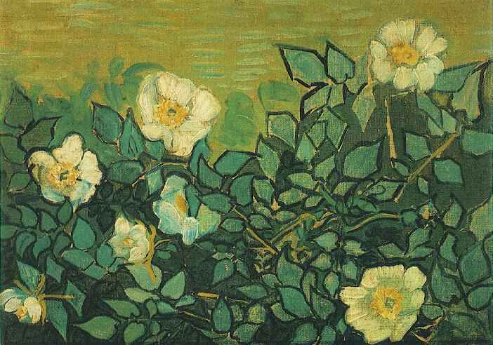702x492 Wild Roses Painting Vincent Van Gogh Oil Paintings - Wild Painting