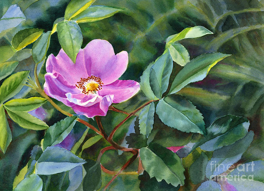 900x651 Wild Rose Blossom 2 Painting By Sharon Freeman - Wild Rose Painting