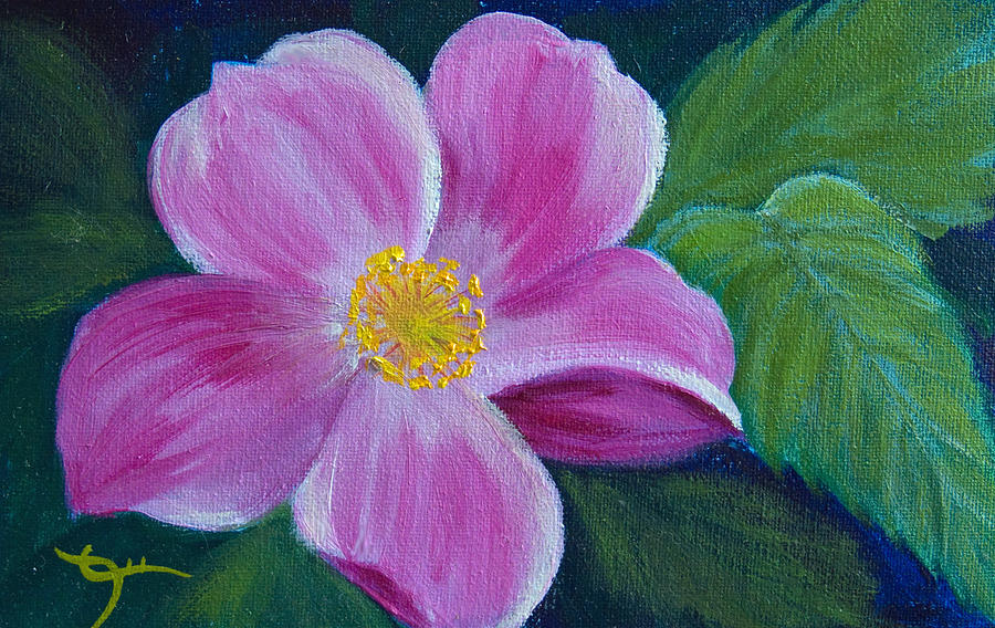 900x568 Wild Rose Study 6 Painting By Dee Carpenter - Wild Rose Painting