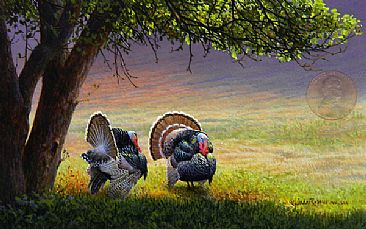 366x229 Wild Turkey - Wild Turkey Painting