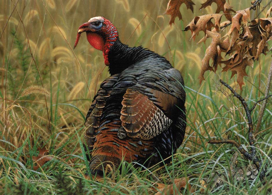 940x675 Monarch Of The Meadow - Wild Turkey Painting