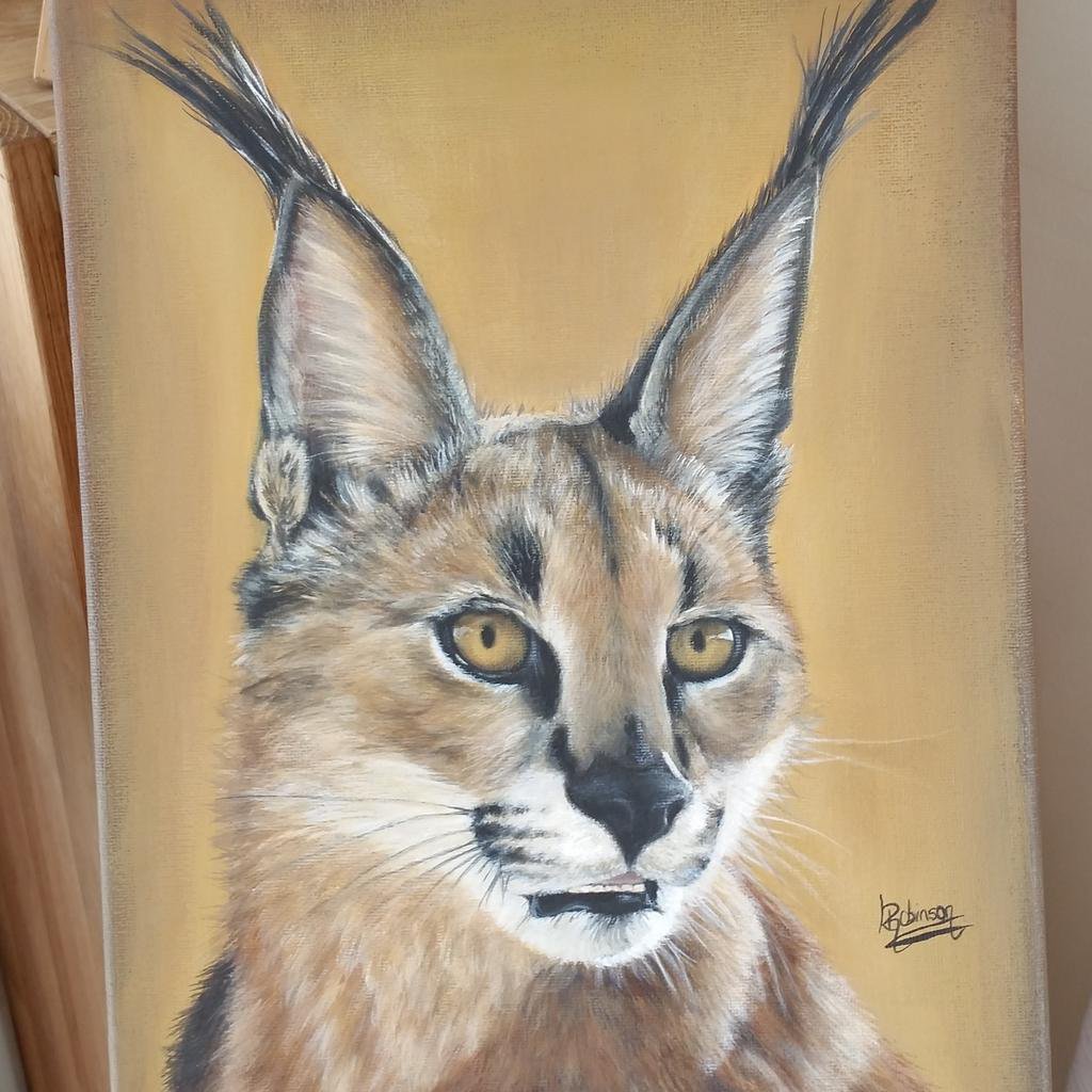 1024x1024 Luan Robinson On Twitter Desert Lynx Cat - Wildcat Painting